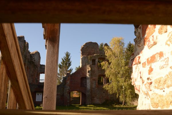 Auf dem Hofberg erheben sich die Mauern der Burgruine Haibach. Hohe Bäume umrahmen das Mauerwerk. Links im Bild sind ein Holzpfosten und ein Treppengeländer zu erkennen.