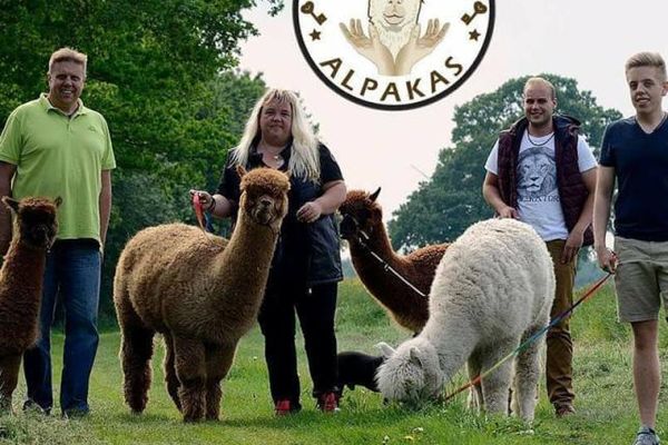 Seelenheil Alpakas
