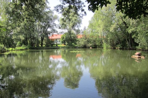 In nächster Umgebung