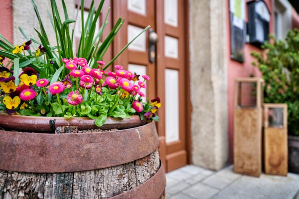 Detailaufnahme vom Eingangsbereich mit einem Holzfass, in welches Blumen gepflanzt wurden.