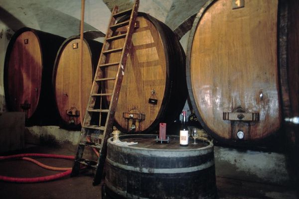 Eichenfässer, hier reift die Ernte des Weinbergs