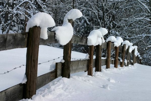 Winter hike - Geizenmoos
