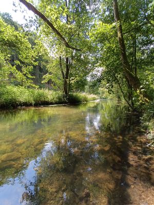 #5 Auf dem Franken- und Marienweg