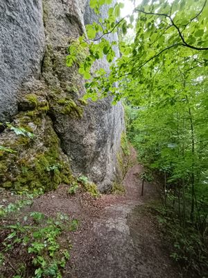 #6 Waischenfelder Panoramatrail