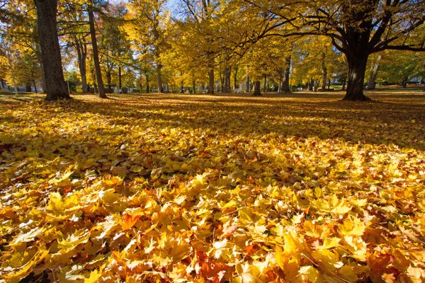 Ferienwohnung Heger Bad Steben, der goldene Herbst im Kurpark