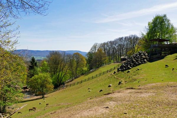 Bergtierpark Erlenbach - Blick ins Tal