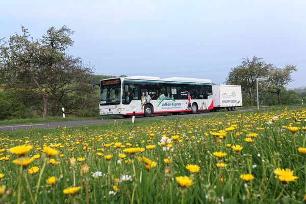 Ein weißer Bus mit einem weißen Anhänger fährt die Straße entlang. Der Bus ist mit dem Schriftzug Vogelsberger Vulkan-Express, die Freizeitbusse mit Radtransport beklebt. Im Vordergrund ist eine Wiese, auf der viel gelber Löwenzahn blüht. Dahinter stehen zwei Apfelbäume am Straßenrand, hinter denen Felder und Wiesen zu erahnen sind.