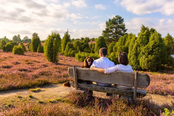Pärchen sitzt mit Hund auf einer Bank in der blühenden Ellerndorfer Heide