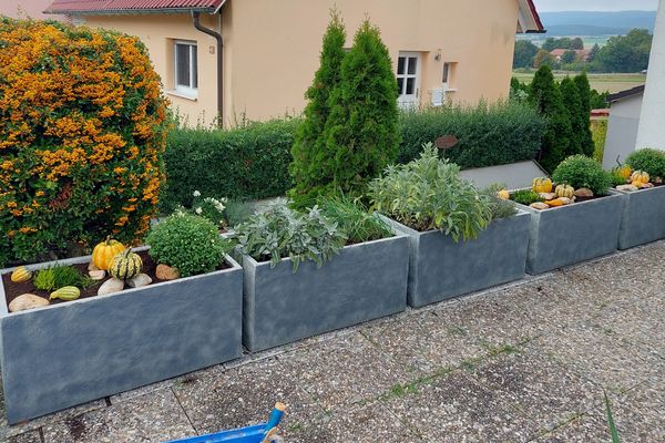 GER00020061542753876