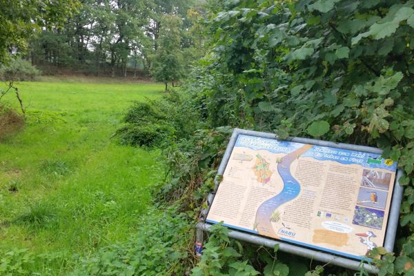 Informationstafel an der Esterauniederung bei Kröoezmühle, umgeben von Wiesen und dichtem Grün.