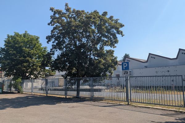 Asphaltierter Wohnmobilstellplatz Schefflenz mit zwei Bäumen im Hintergrund