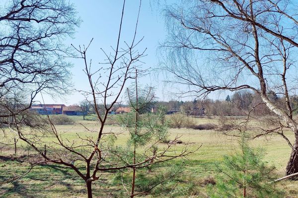 Blick vom Bruchtorfer Weg auf das Dorf Bruchtorf bei Bad Bevensen, eingefasst von alten Eichen und Birken. Im Vordergrund die typischen Wiesen der Ilmenauniederung, im Hintergrund die Höfe von Bruchtorf.