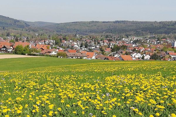Blick auf Michelstadt