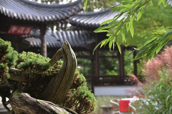 Bild des Datensatzes Chinesischer Garten im Luisenpark