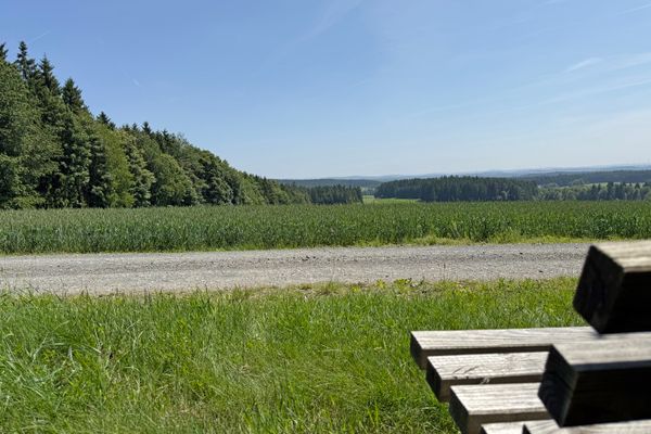 Holzbank mit Blick über Felder und Wälder am Rundwanderweg bei Schönwald.