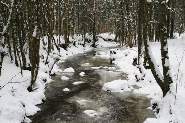 Zwischen Bäumen fließt ein Bach durch die verschneite Landschaft.