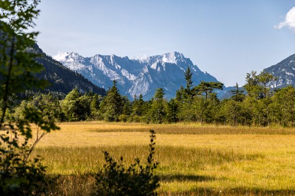 Blick über das Murnauer Moos Richtung Zugspitze