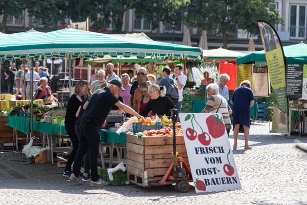 Personen die an einem Marktstand einkaufen, am Marktstand ein großes Schild mit Hinweis auf frisches Obst und Gemüse.