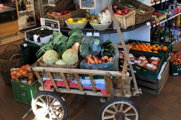 Frisches Obst und Gemüse aus der Region