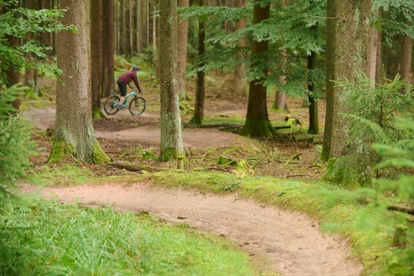 Mountainbiker mit Helm und Ausrüstung fahren auf ihrem Rad eine abgegrenzte Strecke entlang.