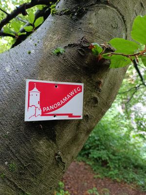 #6 Waischenfelder Panoramatrail