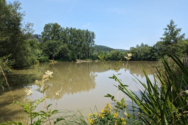 Das Bild zeigt einen Fischteich in Neukenroeht. Im Hintergrund sieht man Wald. Um den Teich sieht man Teichpflanzen.