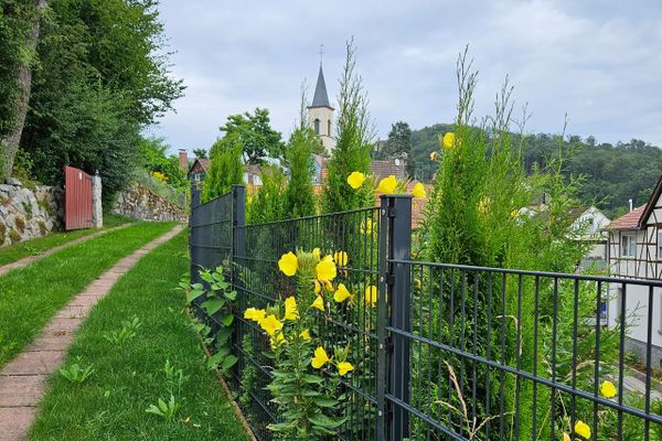 GrundstÃ¼ck - Garten