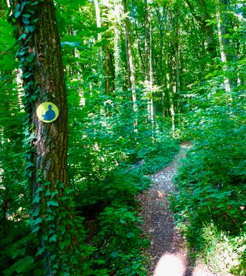 Markierung Wengleinweg