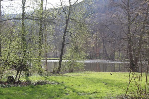 Seegarten Amorbach