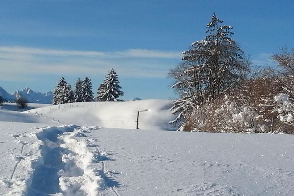 Auf dem Weg zum Mühleck