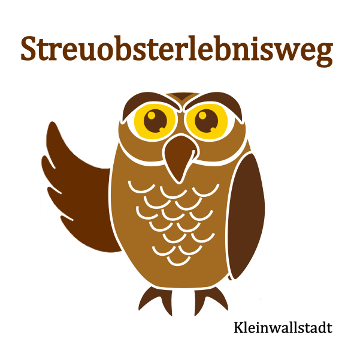 Streuobsterlebnisweg Kleinwallstadt_Steinkauz Athene