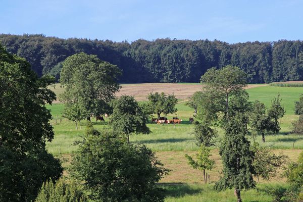 Ausblick