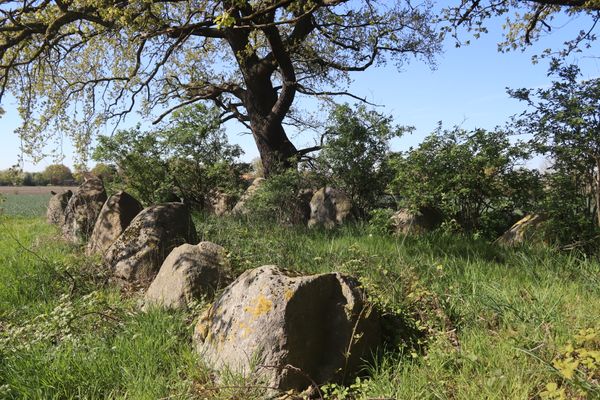 Nahaufnahme des Steinkreises, zu erkennen ist der ovale Verlauf der Grabanlage