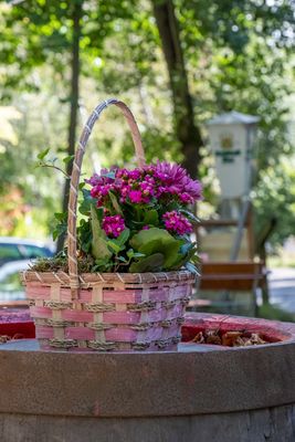 Auf dem Bild sind Blumen in einem Korb zu sehen.