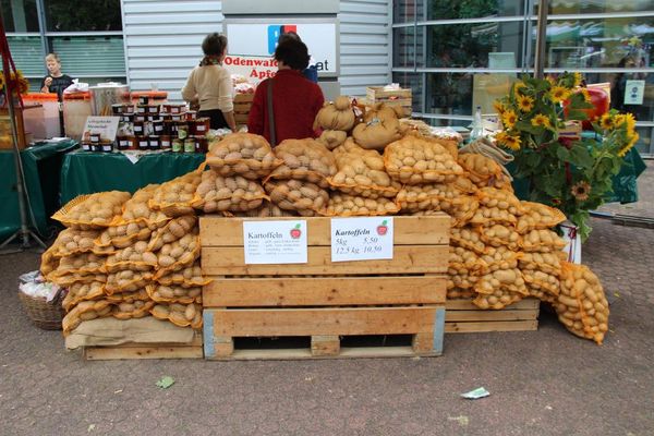 Vielfältigkeit der Kartoffeln