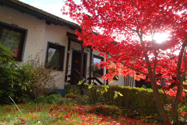 Ferienwohnung Heger Bad Steben, im Herbst
