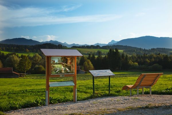 Schaukasten mit Panoramaliege am Vogellehrpfad Bad Bayersoien