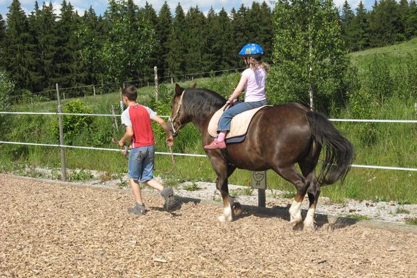 Fitness für Ross und Reiter im Fitness-Stall Badwerk