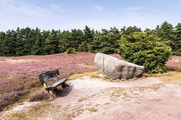 Hermann Löns Gedenkstein in der Klein Bünstorfer Heide