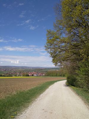 Retterner Mittelwald-Runde (Wandertipp Nr. 25-05)