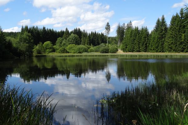 Ferienwohnung Heger Bad Steben, schöne Wanderwege