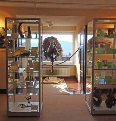 Drachenmuseum Lindenfels