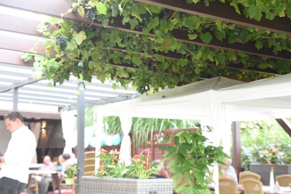 foodgarden_1