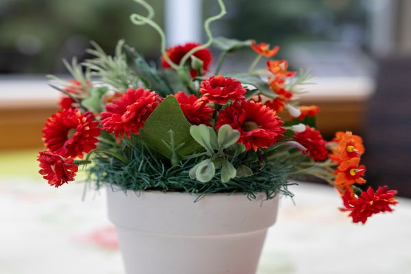 Weißer Blumentopf mit roten und orangefarbenen Blüten und grünen Blättern auf einer Tischoberfläche.