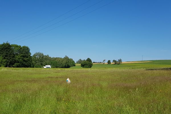 Wiese am Haus