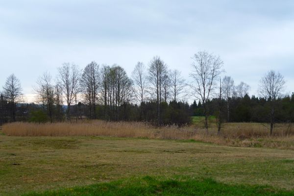 Moorlandschaft