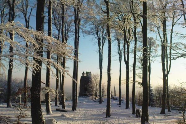 Vom Winterwanderweg aus, der umgeben ist von Bäumen, sieht man den Hirschenstein-Aussichtsturm. Auf seiner Plattform stehen vier Wanderer und genießen die Aussicht.