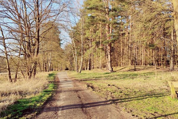 Schutzhütte mit Rastplatz und Infotafel am Ilmenauradweg bei Bad Bevensen. Die Stelle liegt direkt an der Ilmenau – ein beliebter Rastpunkt für Radfahrer. Schräg rechts im Wald befindet sich die Klein Bünstorfer Heide mit ihren bronzezeitlichen Hügelgräbern.