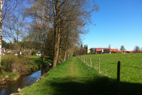 Der Betrachter blickt auf den Wiesenweg vor sich der direkt rechtsseitig am Bach entlang läuft.