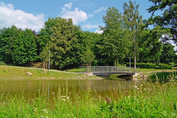 Eine stählerne Brücke führt über ein Gewässer. Im Vordergrund eine bunte Wiese, im Hintergrund hohe Laubbäume.